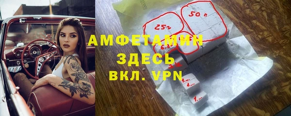 шишки Осинники