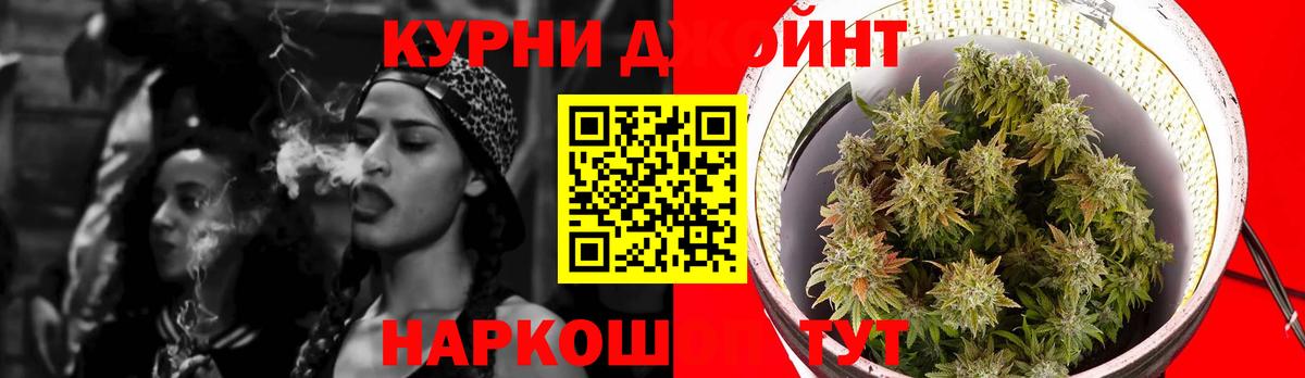 Марихуана план  Конопля AK-47  Вход с VPN  Клин 